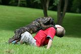 ENFANT ET CHIEN 506